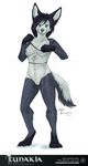  anthro areola breasts canine female fishnet looking_at_viewer lunakia mammal nipples pussy smile solo standing 