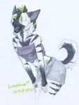  anthro canine clothed clothing female fur hair lunakia mammal open_mouth solo standing traditional_media_(artwork) 