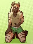  2016 anthro black_fur black_nose black_stripes black_tail boxers_(clothing) bulge chest_tuft claws clothed clothing digital_media_(artwork) fluffy fluffy_tail front_view full-length_portrait fur green_bottomwear green_clothing green_eyes grey_fur grey_tongue halftone_background hi_res hyena inner_ear_fluff kneeling licking licking_lips looking_at_viewer male mammal nowandlater pattern_background pinup portrait pose seductive signature simple_background solo striped_fur striped_hyena stripes tan_fur tan_hair teasing toe_claws tongue tongue_out topless tuft underwear 