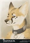  ambiguous_gender anthro canine collar fox fur looking_at_viewer lunakia mammal simple_background solo 