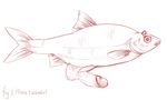  2016 angry balls digital_drawing_(artwork) digital_media_(artwork) dorsal_fin erection feral fin fish glans hairy_balls humanoid_penis looking_at_viewer male marine monochrome penis pink_and_white retracted_foreskin ridethewhitecat side_view simple_background solo tail_fin uncut what what_has_science_done white_background 
