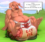  anthro diaper feces hyper hyper_feces male mammal pig porcine scat soiling text 