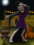  anthro badger bakari cane clothed clothing female food fruit hat looking_at_viewer mammal mustelid pumpkin smile solo standing witch_hat 