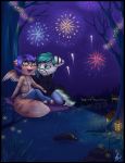  cat duo feline fireworks grass lanterns lights mammal night rock solapi_(artist) tree 