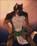  2016 5_fingers abs anthro biceps big_tail biped black_nose brown_fur brown_hair brown_tail bulge canine chest_tuft claws clothed clothing countershade_torso countershading digital_media_(artwork) dog ear_piercing eyebrows fangs feralise fist fluffy fluffy_tail front_view fur german_shepherd gradient_background green_bottomwear green_clothing green_eyes hair male mammal multicolored_fur multicolored_tail muscular muscular_male navel pecs piercing portrait riff34 simple_background snout solo standing teeth thong three-quarter_portrait topless tuft white_countershading white_fur white_tail 