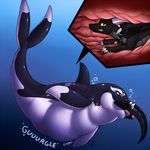  2016 ambiguous_gender belly big_belly black_skin bubble cetacean claws collar digestion dragon duo english_text feral horn mammal marine neck_bulge nude oral_vore orca purple_eyes shikaro signature teeth text toe_claws tongue underwater vore water whale white_skin 