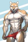  2016 abs anthro balls bulge canine clothing collar dog fur knoll-noru male mammal muscular muscular_male navel nipple_piercing nipples one_eye_closed penis_outline piercing pink_nipples shiba_inu simple_background solo sppedos standing tan_fur underwear white_fur wink 