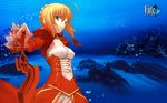  blue fate/extra fate/stay_night saber tagme 