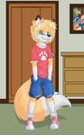  2016 anthro black_nose canine clothed clothing cub fox fur green_eyes hands_in_pockets kit_hawking kithawking looking_at_viewer male mammal orange_fur shorts solo standing young 