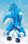  2016 anthro anus balls benzo black_nose blue_fur butt canine dog fur green_eyes hindpaw husky invalid_color looking_at_viewer looking_back male mammal nude pawpads paws presenting presenting_hindquarters raised_tail snowfox_atheart solo spreading toes white_fur 