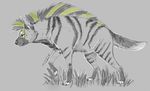  feral hyena mammal mane striped_hyena stripes ti-killa 