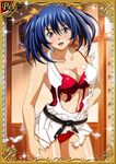  00s 1girl bashoku_youjou breasts card_(medium) dress female ikkitousen large_breasts long_hair looking_at_viewer twintails 