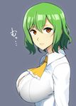  ascot bra breasts bursting_breasts button_gap commentary from_side green_hair grey_background hair_between_eyes highres impossible_clothes impossible_shirt kazami_yuuka large_breasts lipstick long_sleeves looking_at_viewer makeup mattari_yufi red_eyes shirt short_hair simple_background solo touhou translated underwear upper_body white_shirt 