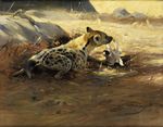  1905 ambiguous_gender brown_fur feral friedrich_wilhelm_kuhnert fur hyena lying mammal outside public_domain rock signature skull solo spots spotted_fur spotted_hyena tan_fur traditional_media_(artwork) 