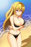  bangs beach bikini black_bikini blonde_hair blush bracelet breasts cleavage collarbone commentary crossed_arms day gem hair_between_eyes half_updo highres hizuki_rei jewelry large_breasts long_hair looking_at_viewer navel necklace o-ring o-ring_bikini ocean original purple_eyes revision shade shiny shiny_skin smile solo standing swimsuit teeth thighs tree_shade 