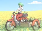  belt blue_sky cloud day driving earrings eyebrows_visible_through_hair field fingerless_gloves gloves grass green_hair ground_vehicle hater_(hatater) horizon jewelry kazami_yuuka looking_away motor_vehicle motorcycle on_motorcycle outdoors pants plant potted_plant red_pants shirt short_hair sitting sky smile solo touhou white_shirt 