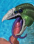  2016 alien ambiguous_gender balls beak blue_eyes duo fellatio green_skin hi_res human humanoid_penis long_tongue male male/ambiguous mammal meandraco open_mouth oral penis purple_tongue sex solo_focus tongue tongue_out tonguejob water wet 