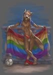  2016 anthro ball balls black_nose blue_eyes canine clothed clothing deusexmoose erection eyewear fifa goggles holding_towel humanoid_penis male mammal mascot mostly_nude pants_down partially_clothed penis rainbow_flag rainbow_symbol shorts signature soccer_ball solo super_gay towel white_balls wolf zabivaka 