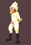  2016 anthro avian balls beak bird blush carpetwurm chest_tuft digital_media_(artwork) embarrassed male martin_(dosent) nipples nude penis simple_background solo tuft 