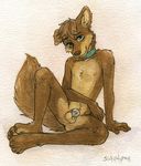  2016 4_toes amaroq_rammer anthro balls blue_eyes brown_fur canine chastity_cage chewycuticle collar colored_pencil_(artwork) dog eyebrows fur looking_at_viewer male mammal nipples nude pawpads paws sitting solo toes traditional_media_(artwork) 