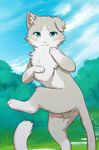  2016 absurd_res anus balls blue_eyes blush cat chest_tuft clover~ day digital_media_(artwork) ear_piercing erection feline fur hi_res looking_at_viewer male mammal outside pakku penis piercing pinup pose re:zero sky smile solo tree tuft white_fur 