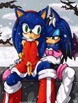  sonic_team sonic_the_hedgehog sonicdash tagme 