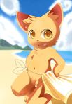  anthro balls beach cat chest_tuft clothing cloud cub feline fur looking_at_viewer male mammal moki navel orange_eyes seaside shadow solo speedo standing swimsuit tan_fur tongue tongue_out towel translucent transparent_clothing tuft young 