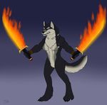  anthro bakari breasts canine featureless_breasts female fire fur hair looking_at_viewer mammal melee_weapon nude solo standing sword weapon 