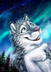  ambiguous_gender aurora_borealis blue_eyes breath conditional_dnp constellation eyebrows felid fur grey_fur looking_up mammal markings multicolored_fur night open_mouth outside pantherine pointing snow_leopard solo spots star tani_da_real tree whiskers white_fur 
