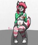  canine clothing dickgirl hybrid intersex mammal panties raccoon rikki sweater underwear wolf xc404 