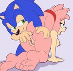  2016 amy_rose anal anal_fingering anthro anus breasts female fingering male male/female nipples pussy sonic_(series) sonic_the_hedgehog the_other_half 