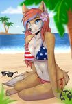  beach bikini blue_eyes breasts canine cleavage clothed clothing cute female fox fur grace_kaiser mammal seaside stars_and_stripes swimsuit tan_fur tropical united_states_of_america white_fur 