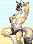  2016 4_toes abs anthro armpit_hair armpits barefoot berlian big_tail biped black_bottomwear black_clothing black_fur black_hair black_markings black_nose black_tail black_underwear brown_eyes bulge canine cheek_tuft claws clothed clothing digital_media_(artwork) dipstick_tail ear_markings eyebrows facial_markings fluffy fluffy_tail fox front_view fur gradient_background grey_fur grey_tail hair hi_res inner_ear_fluff male mammal markings multicolored_fur multicolored_tail on_one_leg pattern_background pecs raised_arm short_hair simple_background snout solo standing tan_fur toes topless tuft two_tone_tail vallhund watermark white_fur 