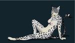  2016 black_nose blue_eyes breasts ear_tuft feline female fur leopard mammal naughtyhog nipples nude pussy smile snow_leopard solo tuft 