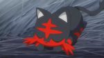  animated animated_gif dream litten pokemon pokemon_(anime) pokemon_sm pokemon_sm_(anime) stoutland 