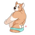  &lt;3 2016 anthro biped black_nose blue_bottomwear blue_clothing blue_underwear blush brown_eyes brown_fur brown_tail butt canine cel_shading clothed clothing corgi countershade_tail countershade_torso countershading digital_media_(artwork) dog fur half-length_portrait hi_res looking_at_viewer looking_back male mammal multicolored_fur multicolored_tail portrait rear_view requiembeatz short_tail slightly_chubby small_tail solo topless two_tone_fur two_tone_tail watermark white_countershading white_fur white_tail 