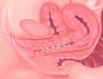  anatomy anus bladder censored cervix clitoris commentary_request mosaic_censoring original pussy pussy_juice solo urethra uterus v-mag x-ray 