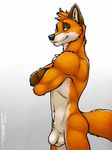  2016 animal_genitalia anthro balls biped black_nose brown_eyes brown_fur canine countershade_face countershade_torso countershading crossed_arms digital_media_(artwork) eye_markings fluffy fluffy_tail fox fully_sheathed fur gradient_background head_tuft hi_res inner_ear_fluff looking_at_viewer male mammal markings multicolored_fur navel nude orange_fur orange_tail portrait razy_(flx_lynx) sheath side_view signature simple_background smile snout solo standing three-quarter_portrait tsaiwolf white_balls white_countershading white_fur 