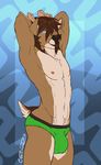  abs anthro antlers armpits biceps blue_eyes briefs brown_hair bulge castbound cervine chest_tuft clothing deer flaccid fur hair hands_behind_head hi_res horn looking_at_viewer low-riding male mammal muscular navel nipples oriol_(character) pecs penis penis_outline signature solo standing tan_fur tuft underwear 