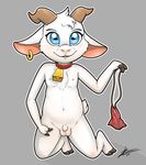  anthro balls bell_collar caprine clothing collar cowbell cub flaccid front_view goat holding_object holding_underwear horn kneeling loincloth looking_at_viewer male mammal nipples nude penis signature solo uncut underwear young zekromlover 