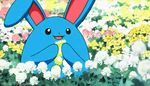  animated animated_gif azumarill black_hair pokemon pokemon_(anime) 