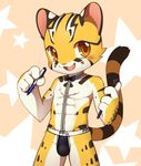  abs bow_tie bulge cat clothing cub feline holding_object jockstrap looking_at_viewer male mammal notepad open_mouth pencil_(disambiguation) raier smile solo standing underwear unrealplace young 