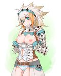  armor barioth barioth_(armor) blue_eyes breasts capcom monster_hunter monster_hunter_3 nipples presenting white_hair 