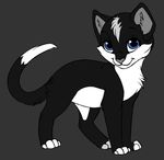  2016 black_fur blue_eyes cat fan_character feline fur mammal nightpaw_(oc) warriors white_fur white_paws xth46 