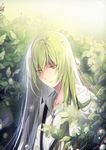  androgynous artist_name bangs colored_eyelashes commentary_request enkidu_(fate/strange_fake) eyebrows_visible_through_hair eyelashes fate/strange_fake fate_(series) green green_eyes green_hair hair_between_eyes light_particles light_smile long_hair looking_down male_focus parted_lips pepper_fever plant robe sad solo upper_body water_drop yellow_eyes 