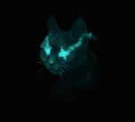 ambiguous_gender black_background feline feral fur glowing glowing_eyes happy-cat mammal simple_background smile solo whiskers 