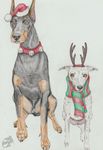  canine cervine christmas collar deer doberman dog female feral greyhound holidays male mammal scarf whippet yenza 