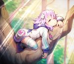  :&lt; absurdres awkward bored d-pad d-pad_hair_ornament day forest full_body hair_ornament half-closed_eyes highres hood hoodie in_tree light_rays looking_at_viewer lying nature neptune_(choujigen_game_neptune) neptune_(series) on_stomach outdoors purple_eyes purple_hair segamark shoes short_hair sleepy solo striped striped_legwear sunbeam sunlight thighhighs tree usb 