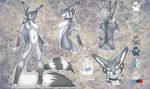  5_fingers aimi anthro bare_back blair_(aimi) blue_eyes breasts canine collar featureless_breasts featureless_crotch female fur grey_fur grey_hair hair mammal model_sheet navel nude smile solo standing white_fur 