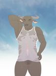  9x9 animal_genitalia anthro balls big_balls bottomless clothed clothing erection liber_souvlakia male muscular nipples pose sheath shirt sky solo standing water_buffalo wet_shirt 